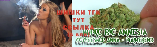 молекула духа Армянск