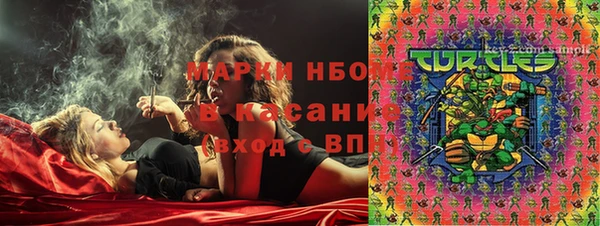 прущие грибы Балахна