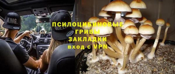 дурь Арсеньев