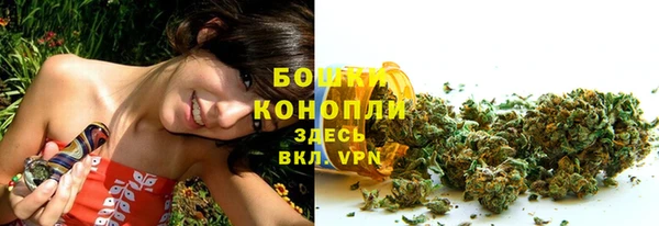 дурь Арсеньев