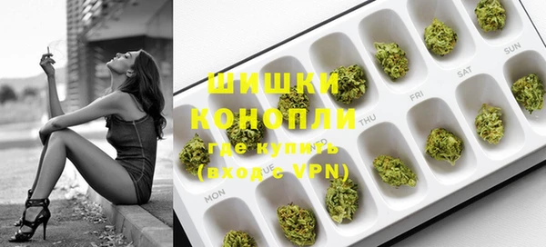 прущие грибы Балабаново