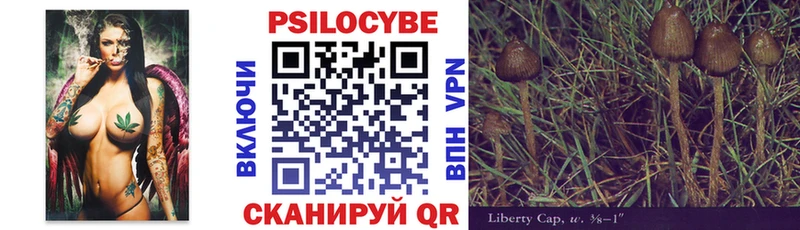 Псилоцибиновые грибы GOLDEN TEACHER  Купить закладки  Бирюч 